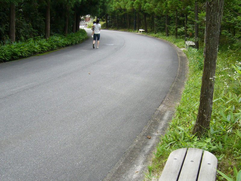 写真：緑に囲まれた園路とベンチ。子どもを抱きかかえた女性が歩いている