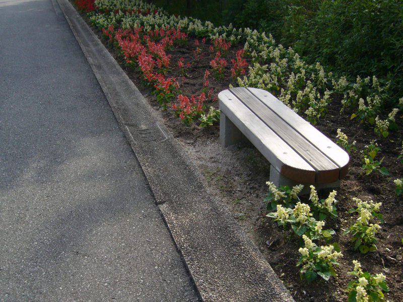 写真：ベンチを取り囲むように植えられた赤と白のサルビアの花