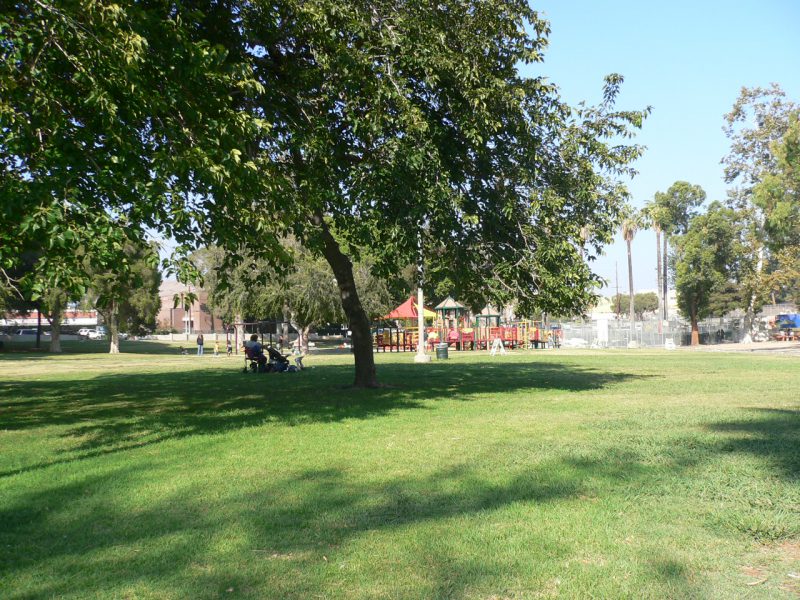写真：広い芝生と大木の向こうに見える小さな遊び場