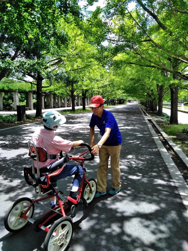 写真：公園スタッフに引かれ、緑の並木道を進む