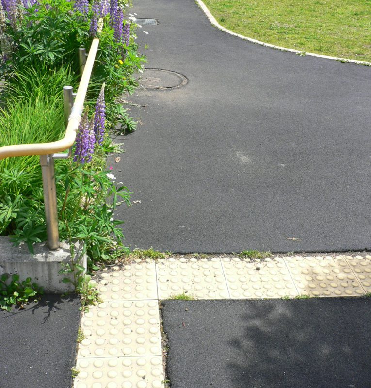 写真：芝生広場周囲の園路。一見アスファルトに見えるが薄いゴムチップ舗装