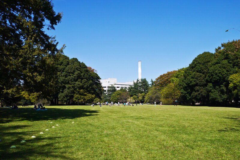 写真：元はゴルフ場だった広い芝生広場。豊かな緑の中、思い思いに過ごす人々。